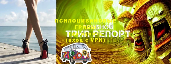 амф Бородино