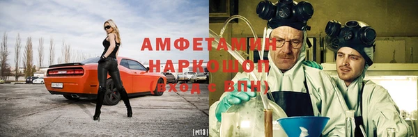 амф Бородино