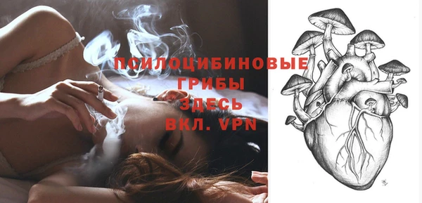 амф Бородино